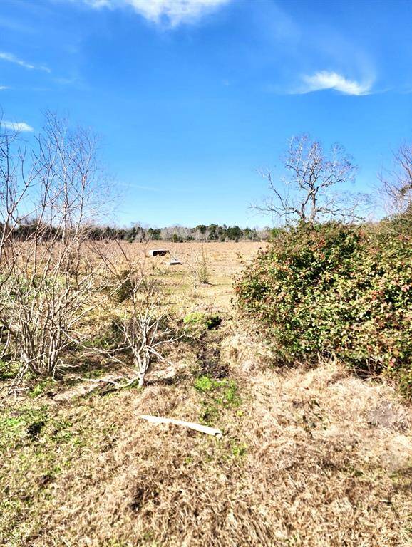 back of property