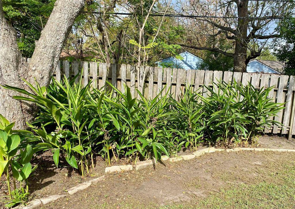 Seller provided backyard pic before January freeze --- lush greenery bordered with a stone edging creates a natural and serene outdoor space.