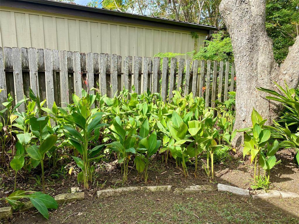 Seller provided pic taken of section of backyard flower beds just before Jan. 2025 freeze.