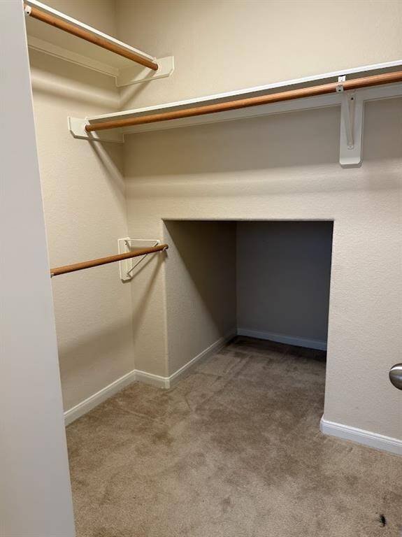 Plenty of storage room in master bathroom closet
