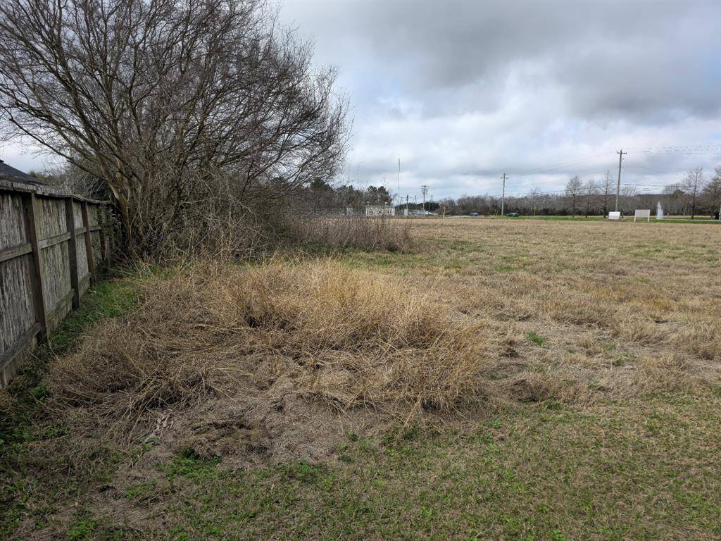 Back fence line of property.