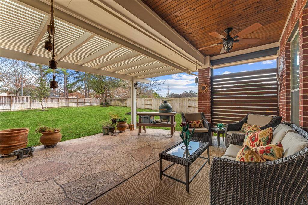 View to the backyard from the patio.