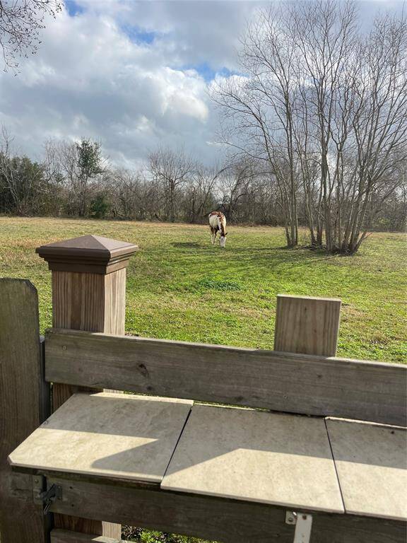 Relaxing view of horses and wildlife.