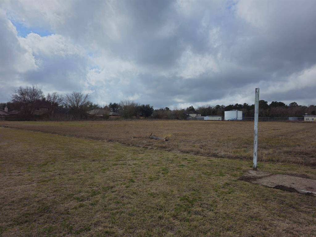 Property line begins at the taller grass line.