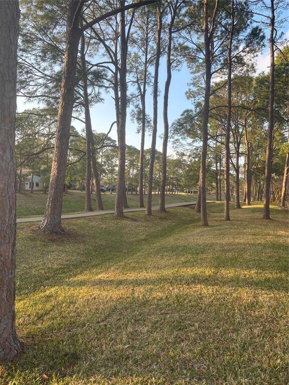 The serene walking trail to enjoy right down the street!