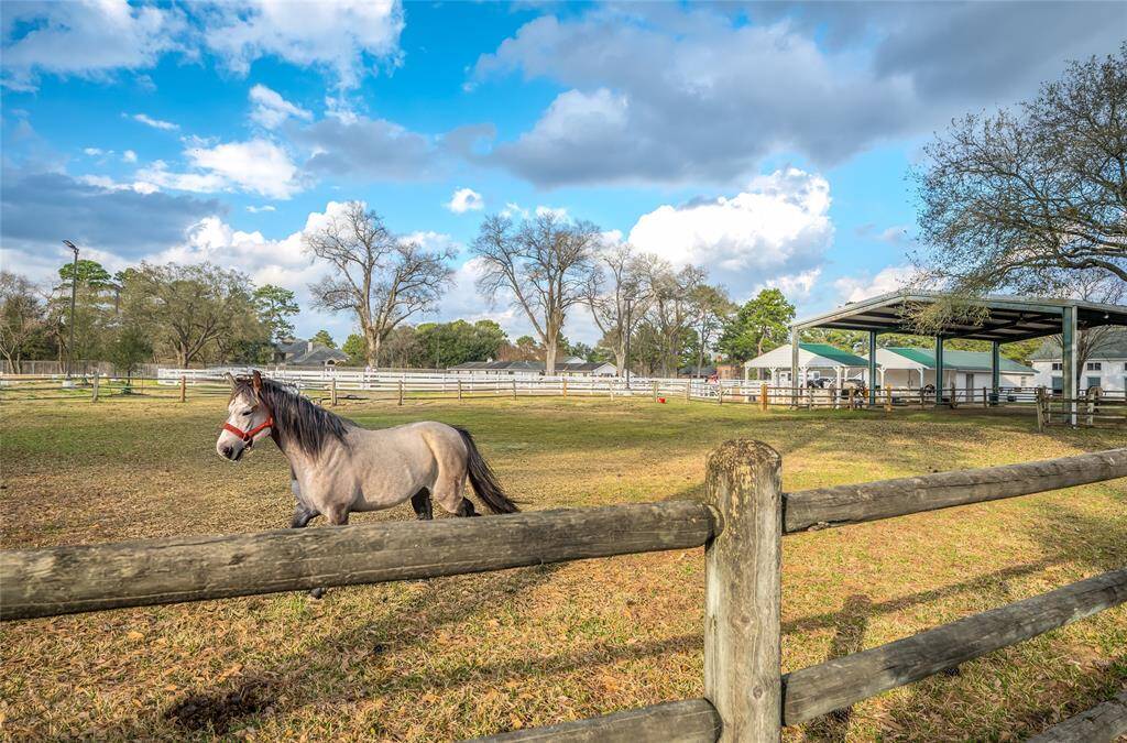 Riding lessons offered at the Equestrian center!
