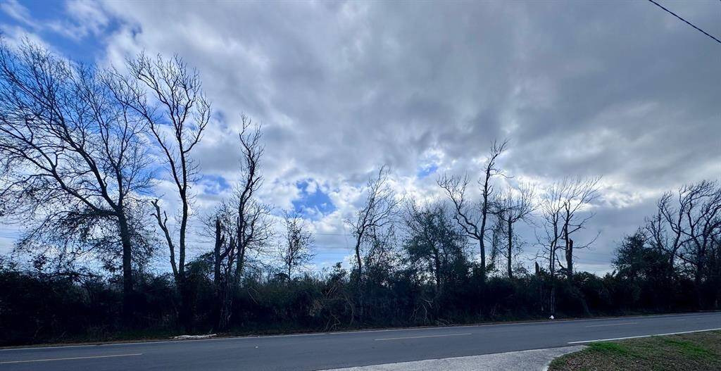 Treeline on Evergreen extends to Tri City Beach Road