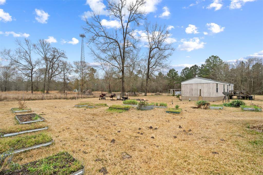 Lots of space and rasied garden beds for growing veggies and fruits!