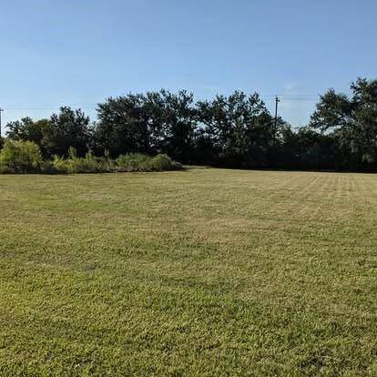 Seller picture of yard looking toward the street.