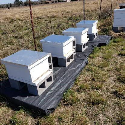 Seller picture of the bee boxes