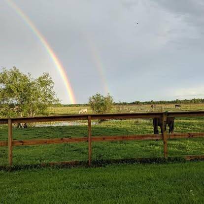 Seller picture of the back yard view