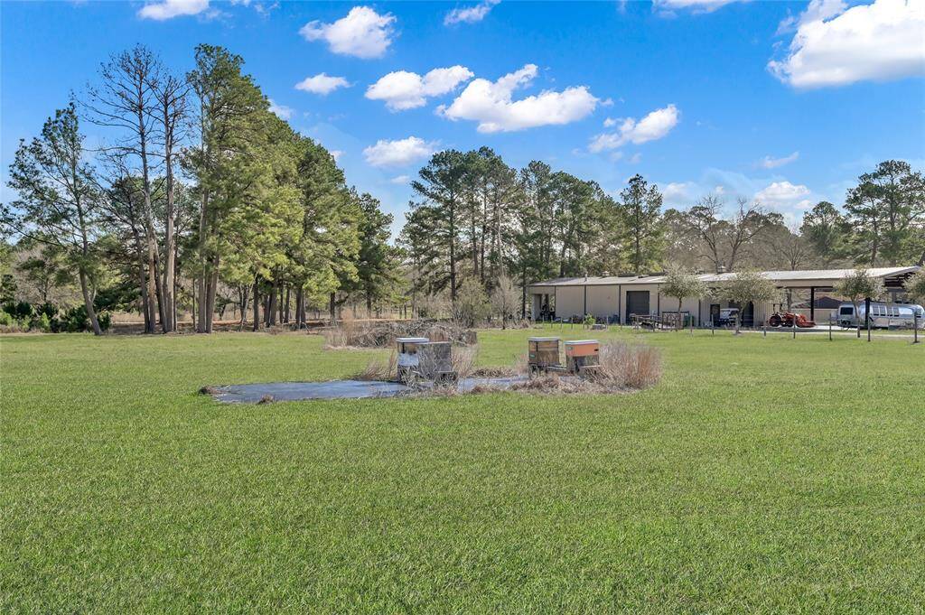 Property Image 43