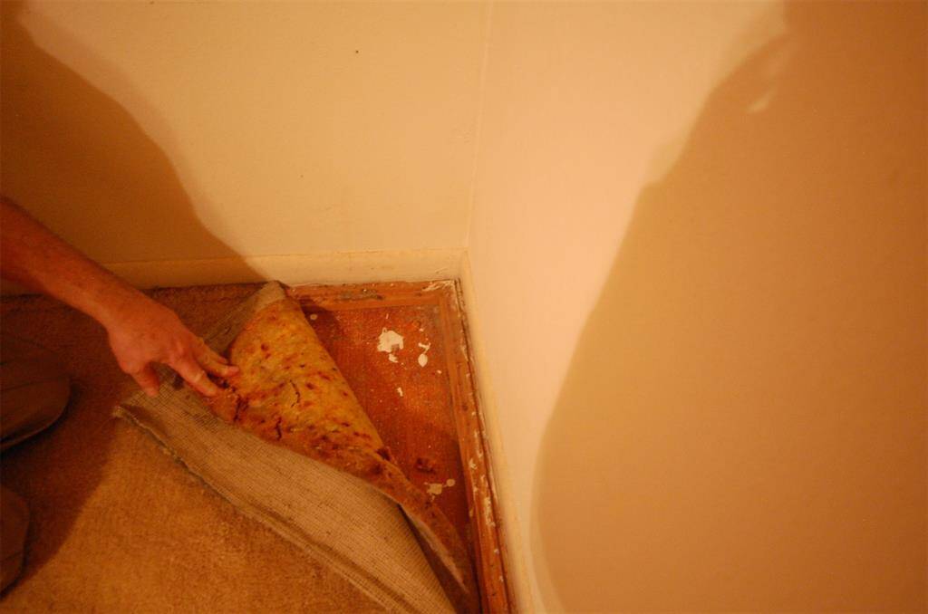 Hardwoods are found!  Seller pulled up one corner in each carpeted room so you can see hardwoods hiding under the carpet.