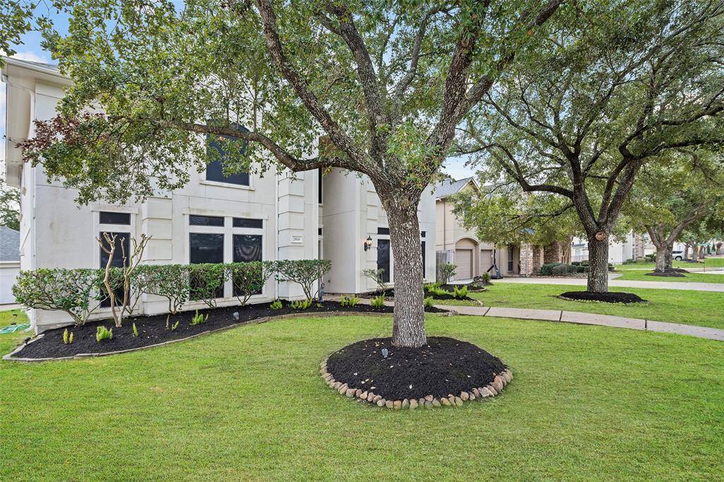 Property Image 41
