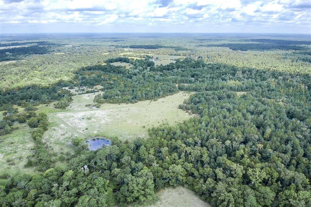 pic of whole tract