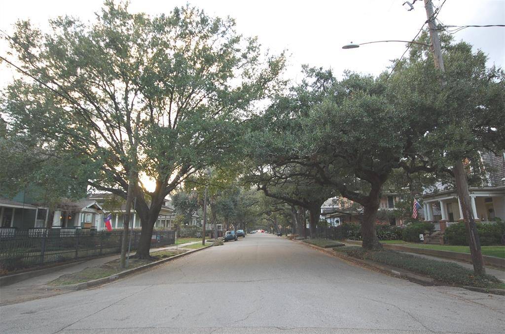 Bayland Avenue looking West.  Canopy of the mighty Live Oaks lining Bayland from both direction.