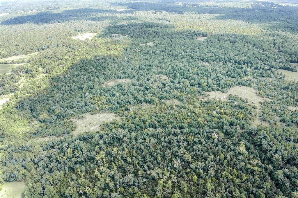pic of whole tract