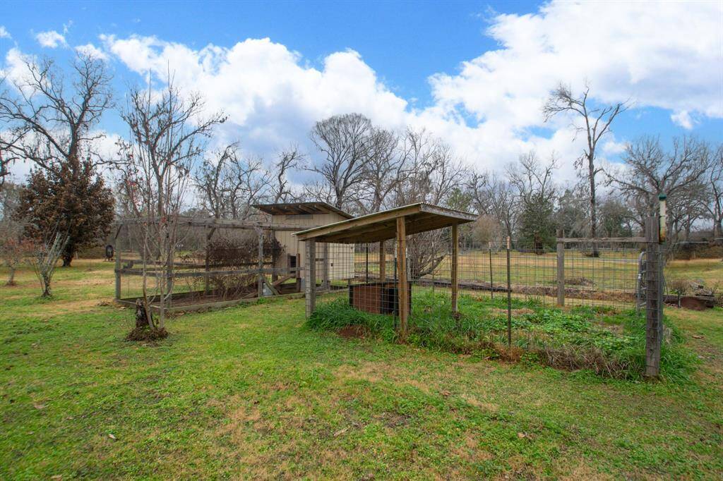 Chicken Coop & small pen