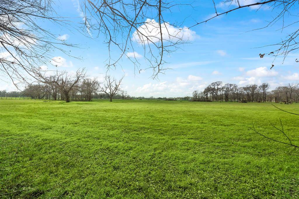 This is the view behind your home. A private gate in the backyard will lead you to this view.