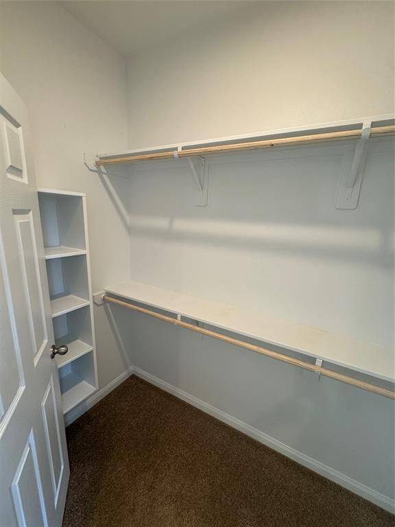 Primary Closet