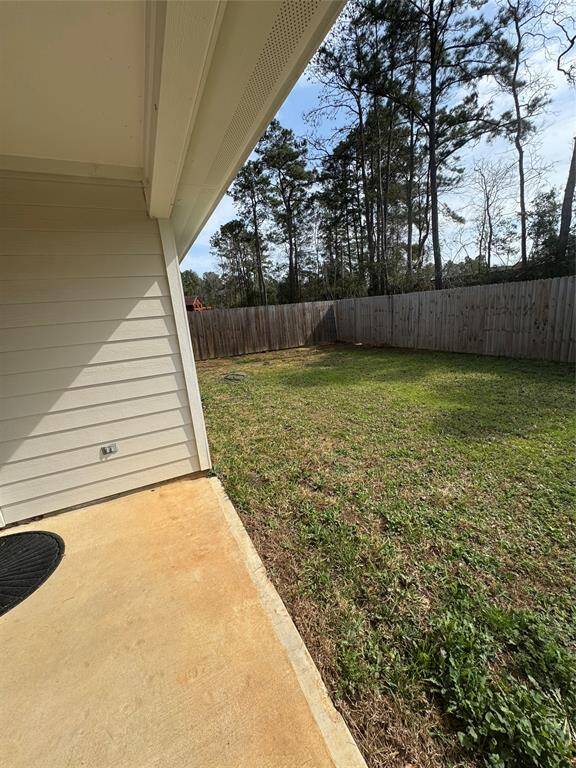 Back yard