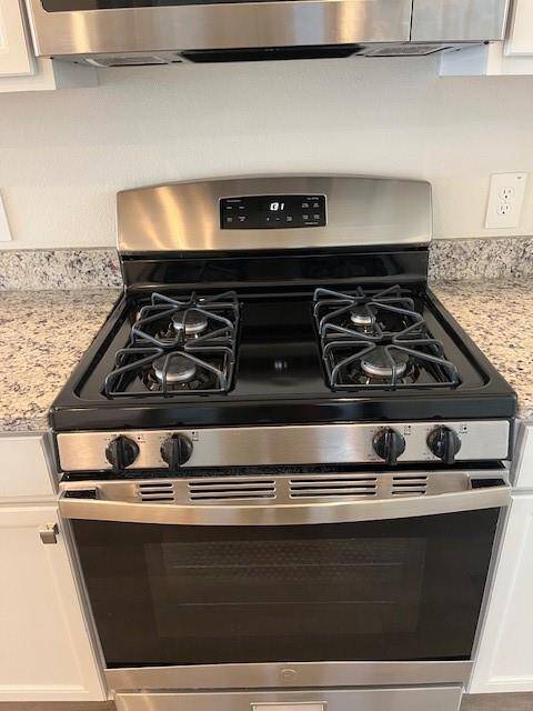 Gas Oven