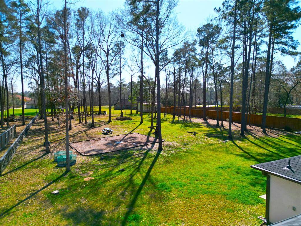 Backyard private park.