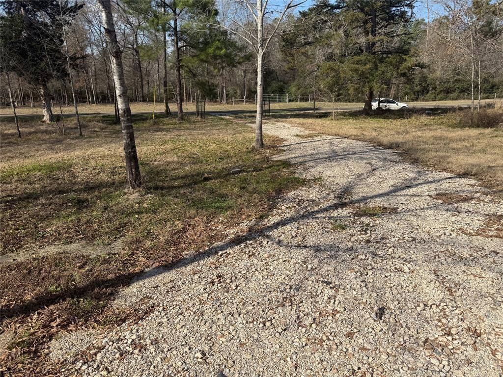 Front of the house looking at road and entrance of property