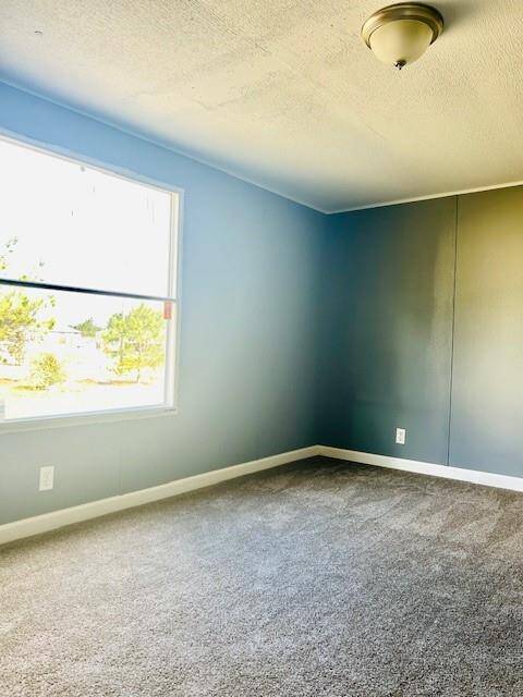 Secondary Bedroom #1
