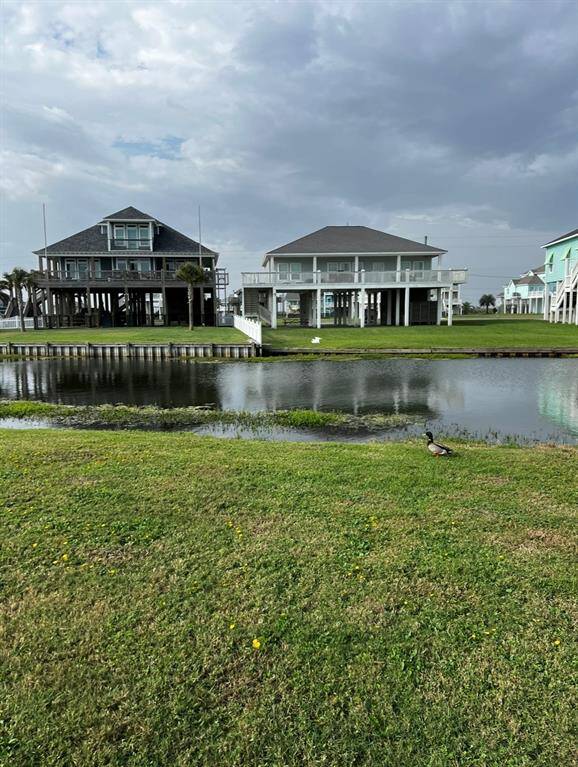 Neighborhood pond complete with ducks, herons and other waterfowl as neighbors!