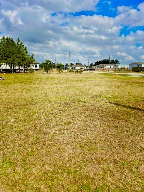 Front yard