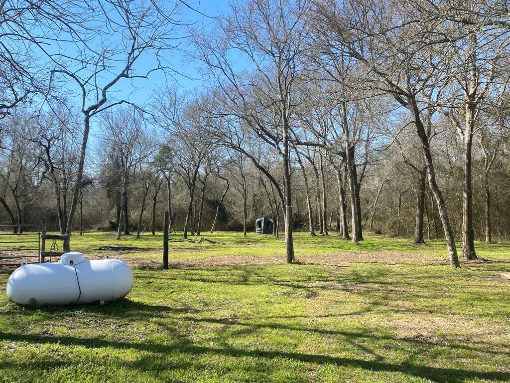 This photo shows a spacious, grassy backyard with several leafless trees under a clear blue sky. A propane tank is visible in the foreground, and there appears to be a small shed or structure in the distance. The area is surrounded by more trees, offering a sense of privacy and natural beauty.