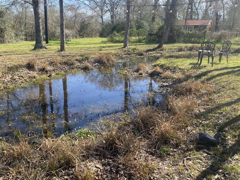 The photo shows a serene backyard with a small pond surrounded by grass and tall trees. There are two metal chairs under string lights, creating a peaceful setting. A small outbuilding is visible in the background.