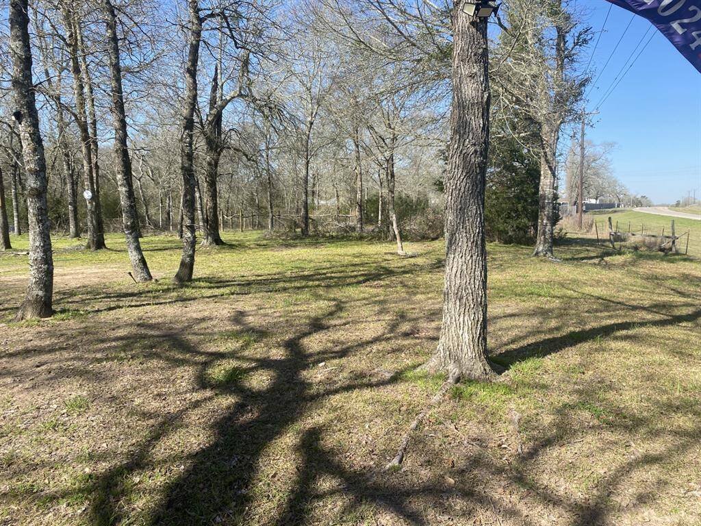 This photo showcases a spacious, wooded lot with mature trees and a grassy landscape. The area appears tranquil and natural, ideal for a home with a rustic or serene setting. A road is visible in the background, suggesting easy access.