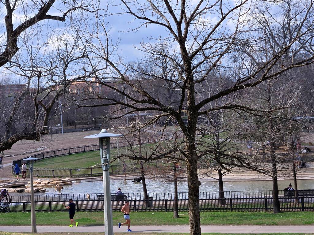 Local dog park, jogging & bike trails on Buffalo Bayou