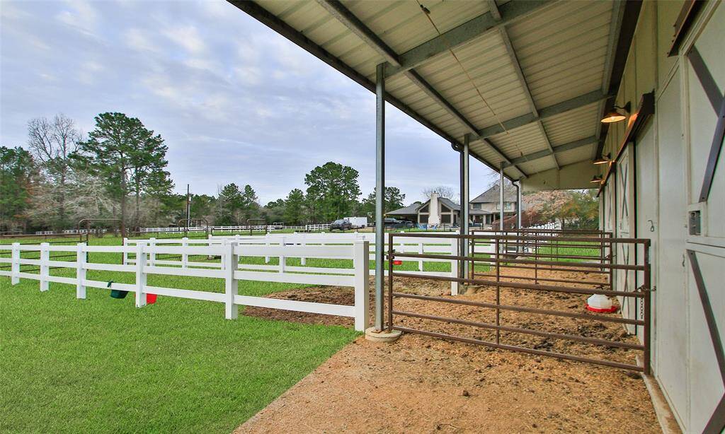 Each stall have their own shed and 30' run.