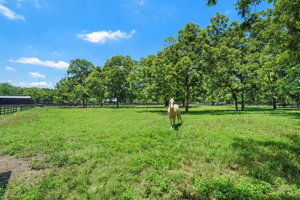 Equestrian-Friendly Property! Bring Your Horses Home!
