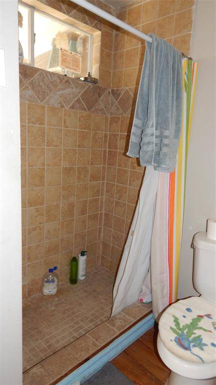 Primary Shower