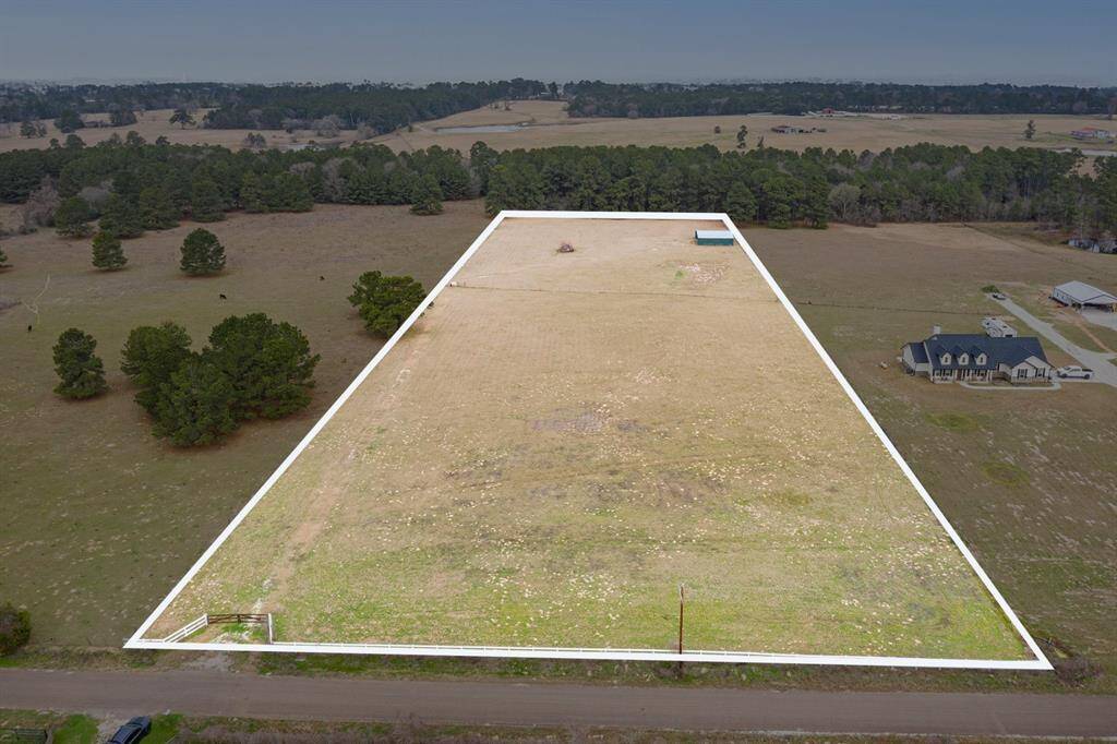 Property stops at the tree line