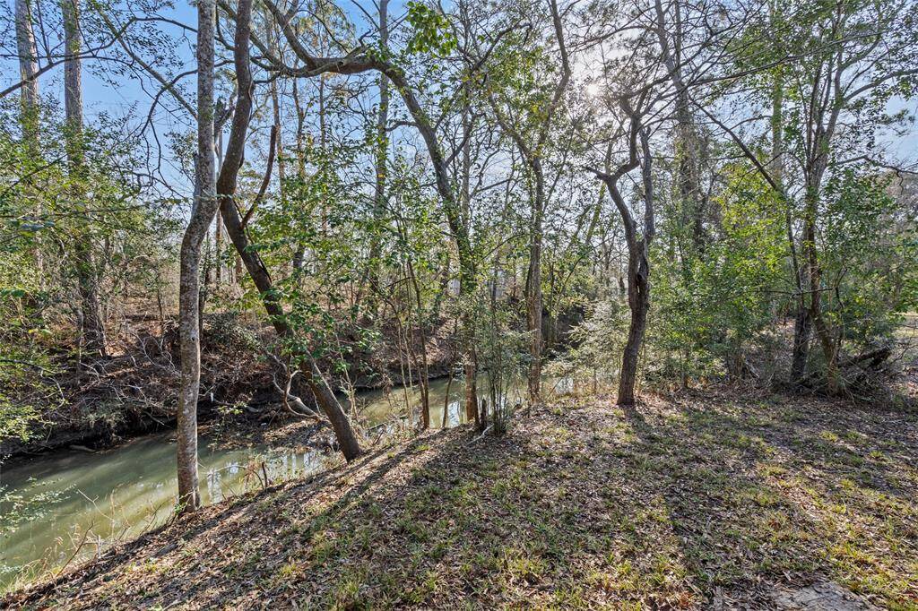 Benson Bayou