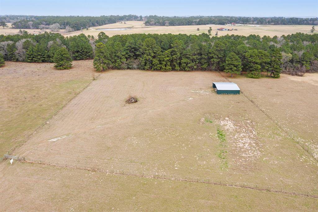 View of back pasture