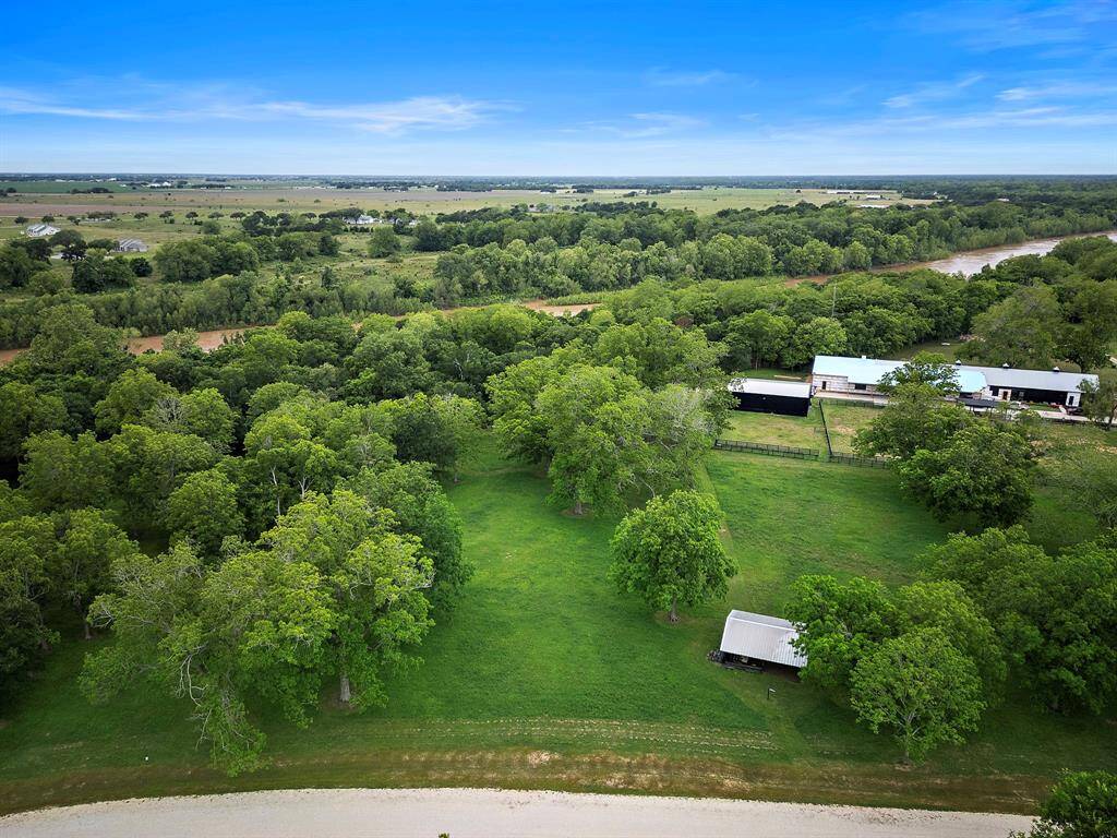 The endless mature trees create a breathtaking and perfect backdrop.