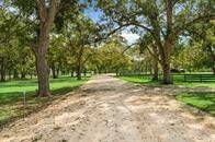 As you drive into the community, you are embraced by mature trees, creating a peaceful and inviting atmosphere.