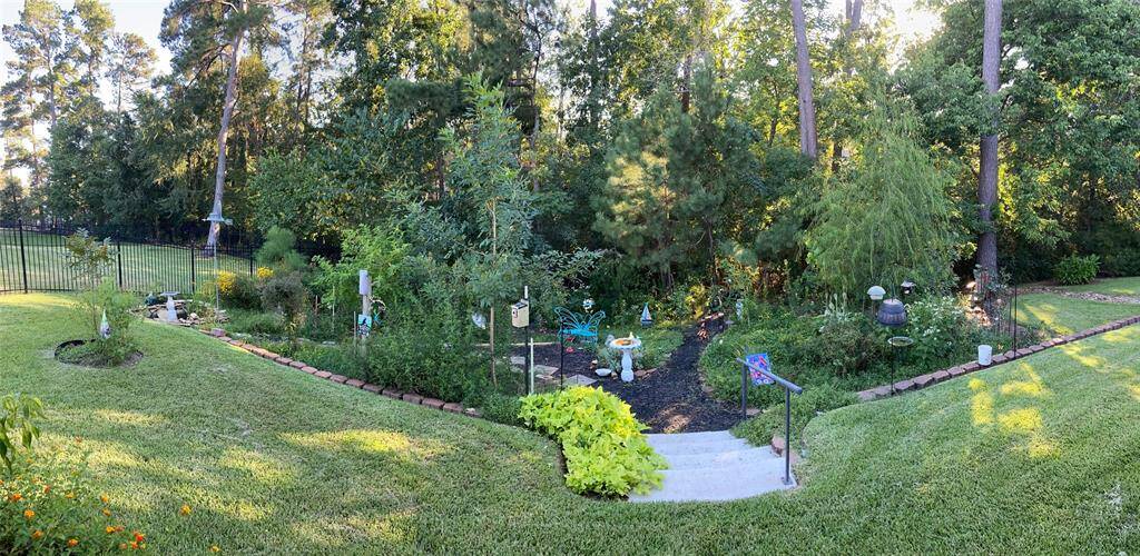 backyard in spring
