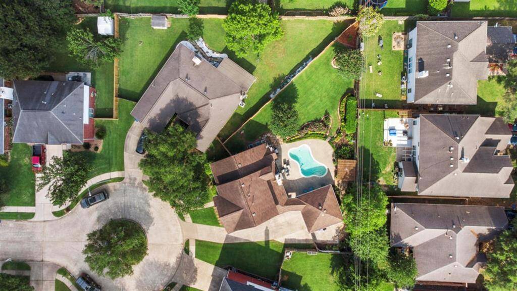 Great lot!