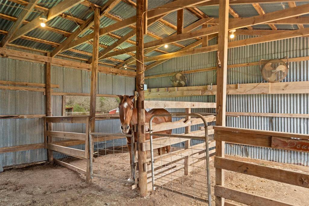 The stalls could be used for all types of livestock and have plenty of space!