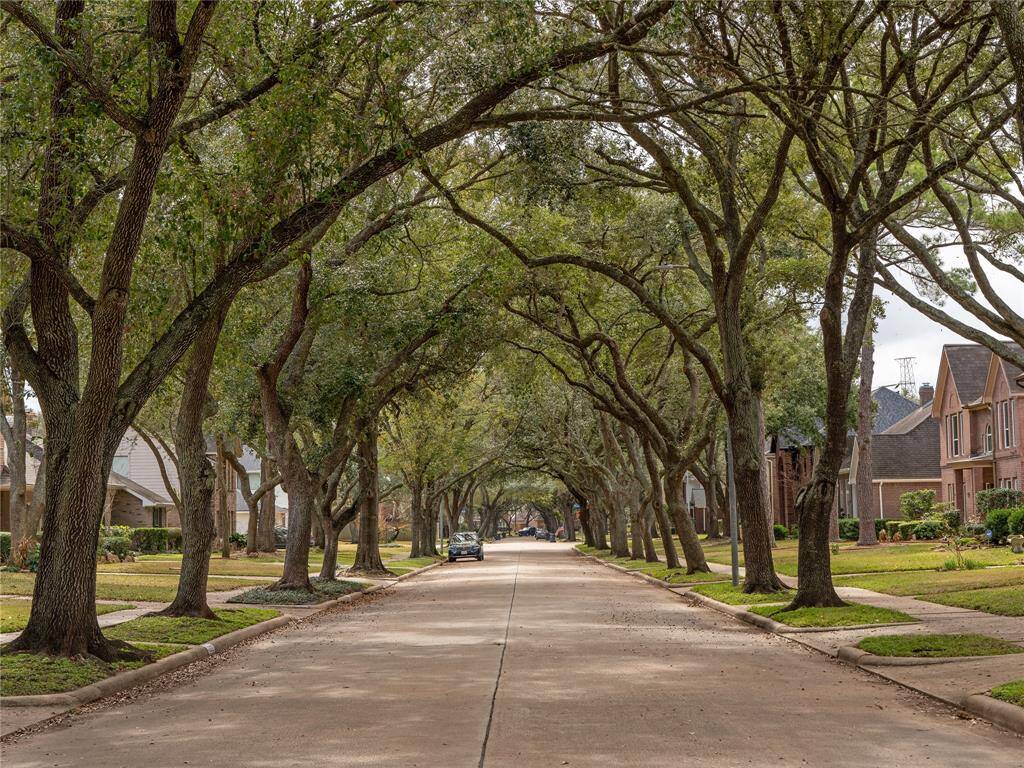 The welcoming trees on the N. Medio River Cir.