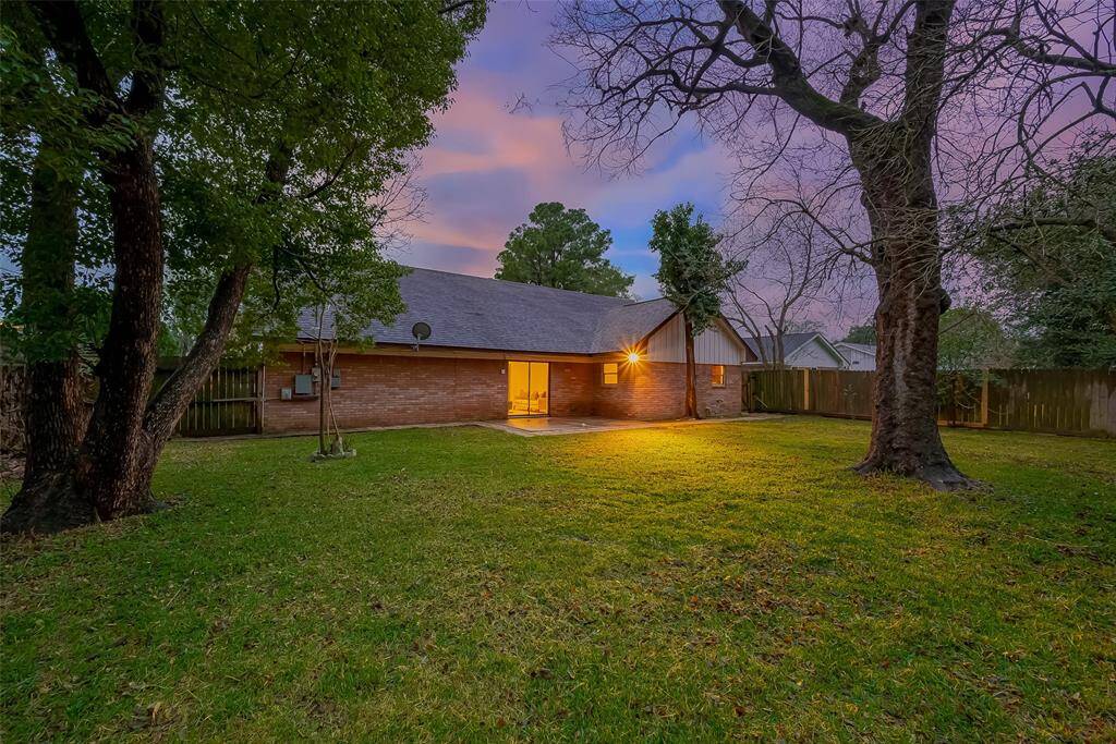 Backyard