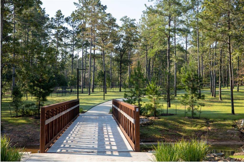 The Woodlands Hills
