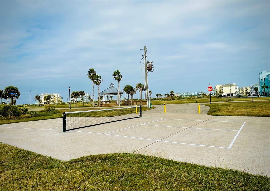 Pickleball Court